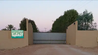 صورة ٢، مزرعة العليا