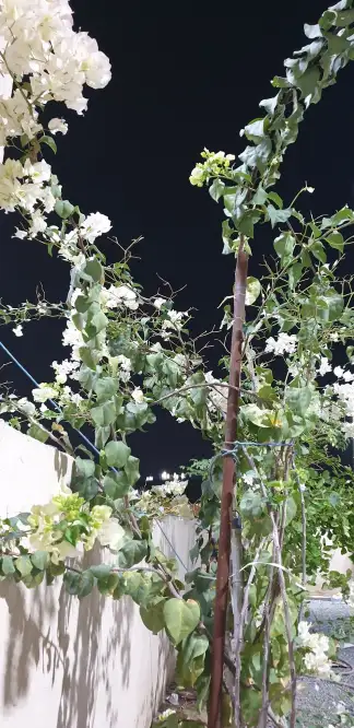صورة ٣، استراحة العطاء