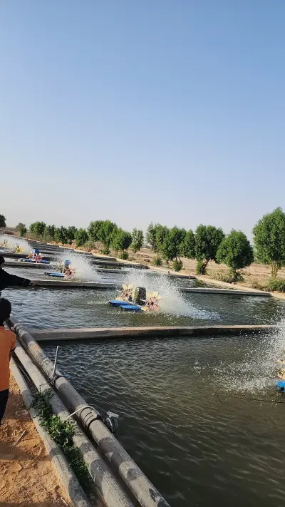 صورة ٢، مزرعة اسماك الدلم