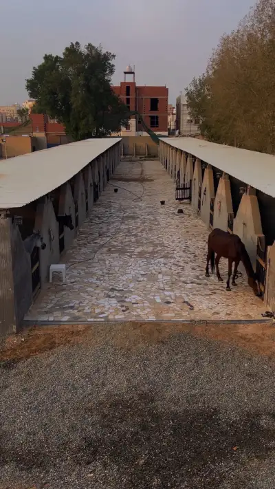 صورة ٣، منتجع المزرعه - The farm resort