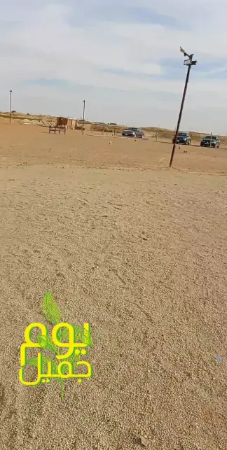 صورة ٣، مخيم الياسمين