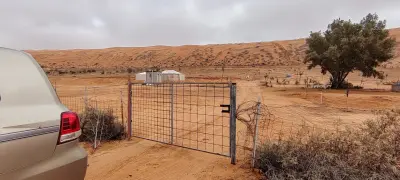 صورة ٣، مخيم منسية البري