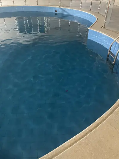 صورة ٤، استراحة نزهة العمارية