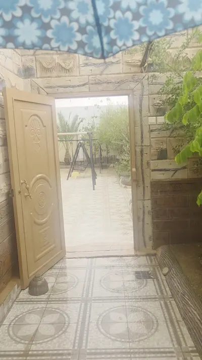 صورة ٢، استراحة زهرة التوليب
