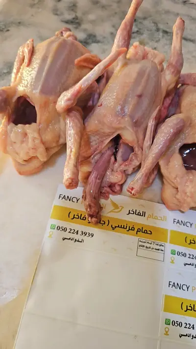 صورة ٣، الحمام الفاخر