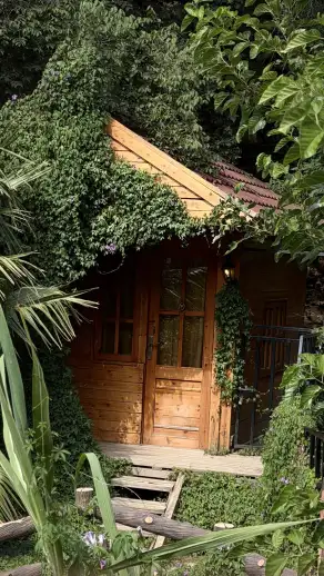 صورة ٤، مزرعة البن بالحازم لصاحبها عثمان الفهيره