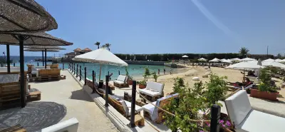 النرجس