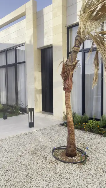 صورة ٣، Cosmo Resort شاليه كوزمو