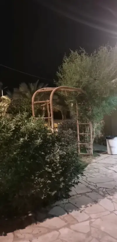 صورة ٣، استراحة الحنين