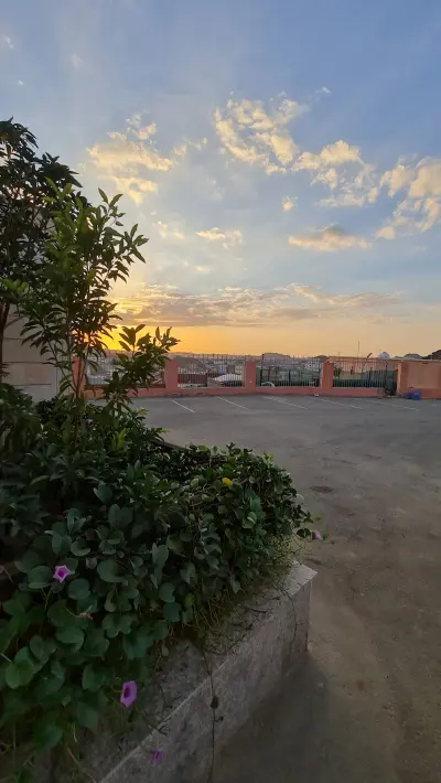 صورة ٤، استراحة الشاذلية