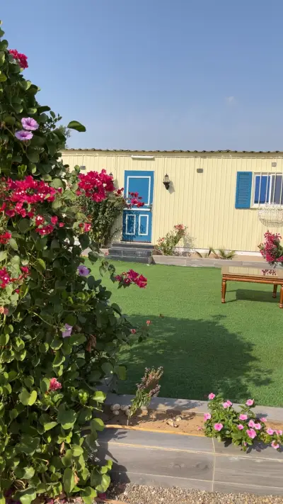 صورة ٤، مخيم ليلة شتاء