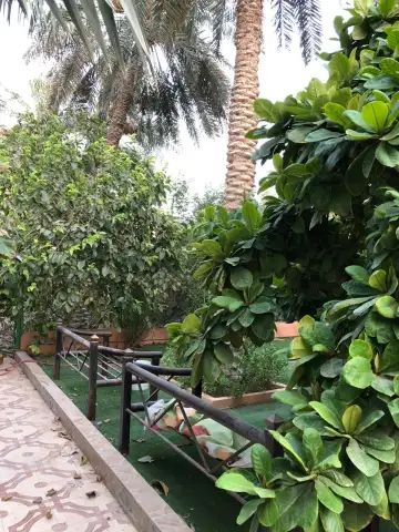 صورة ٤، استراحه النجم الساطع للايجار اليومي