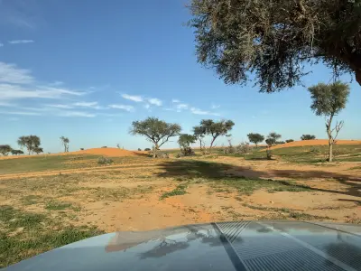 صورة ٣، استراحة ابو سلمان السريحي