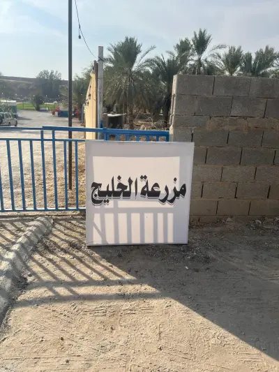 مزرعة الخليج للجلسات والورقيات