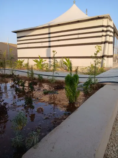 صورة ٥، مخيم برق الشعيبة