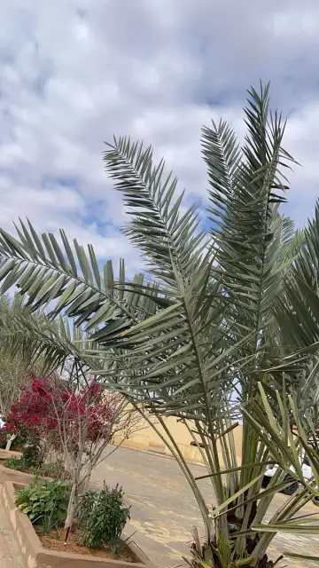 صورة ٣، استراحة هليل بن هلال العضيلة