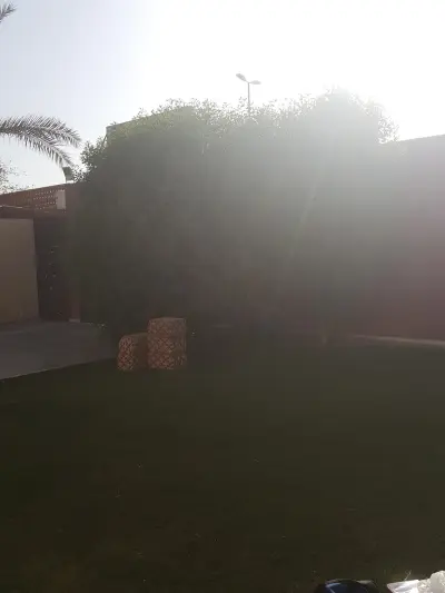 صورة ٢، استراحة ومنتجع الديرمان