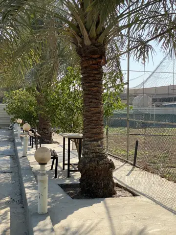 صورة ٤، استراحة سيدعبدالله العلوي