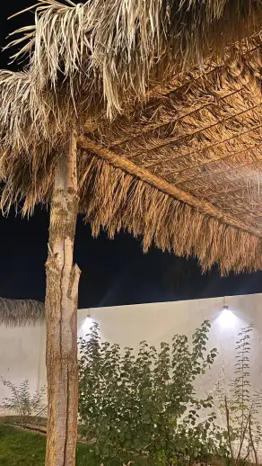 صورة ٤، استراحة واحة الناصرية
