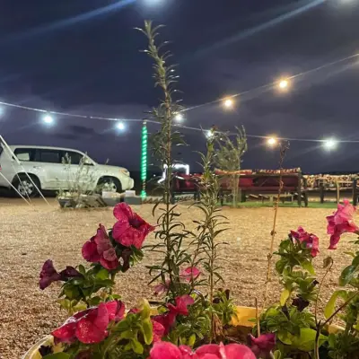 صورة ٢، مخيم الريان