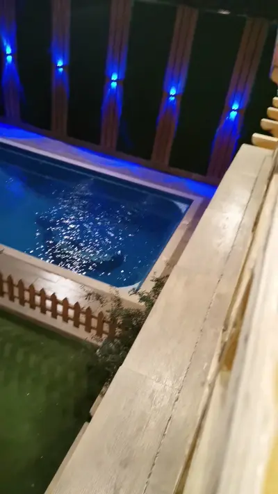 صورة ٣، رويال