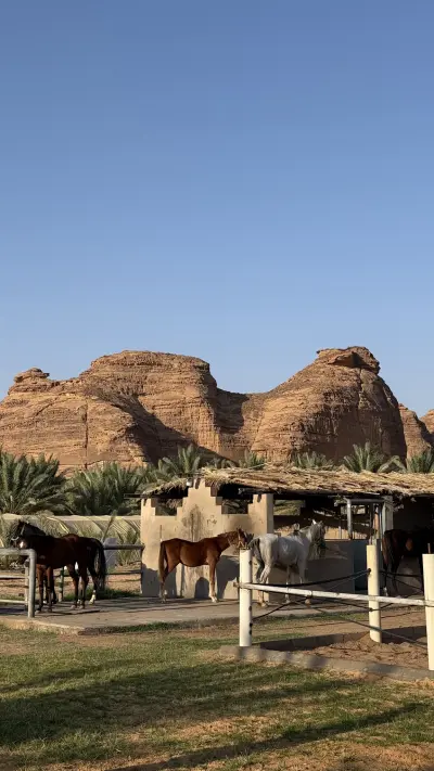 صورة ٣، اكواخ واستراحات العلا الريفية
