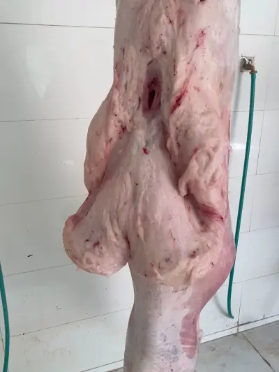 صورة ٣، استراحه أبوزيد العنزان