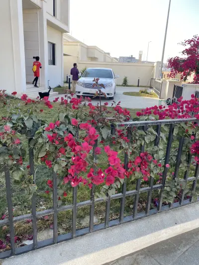 صورة ٤، Reefee resortsشاليهات منتجع ريفي