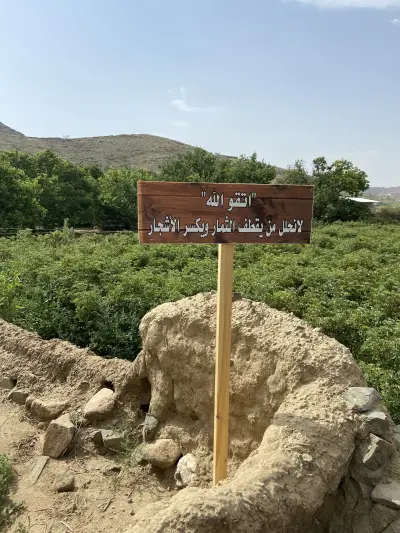 مزرعة سالم بن مشيهب للورد الطائفي