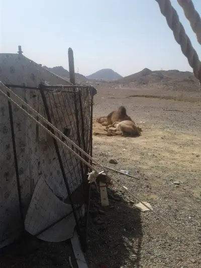 استراحة ابوخالد سعيد بن سالم