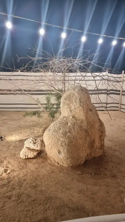 صورة ٣، مخيمات هارموني