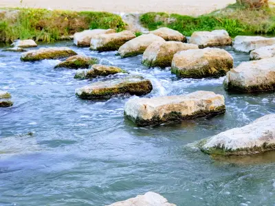 صورة ٣، استراحة النخيل