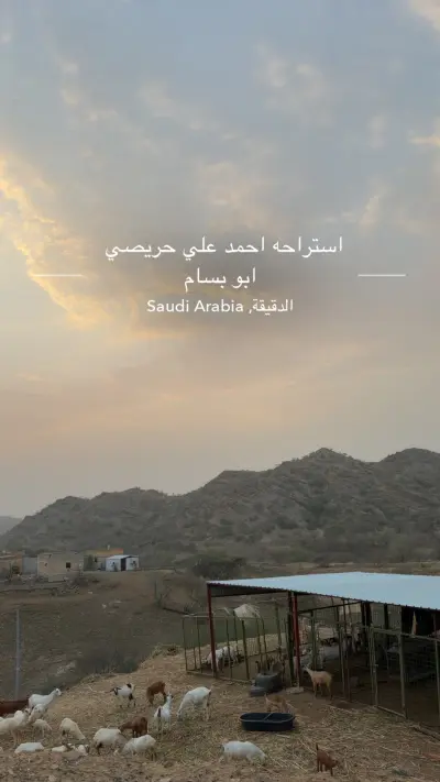 صورة ٥، استراحه احمد علي حريصي ابو بسام