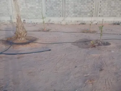 استراحة محمد بن علي آل عرفج وأولاده