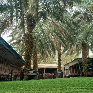 صورة ٢، مزرعه تاكوما طريق العيون