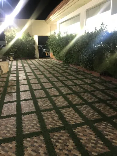 صورة ٣، شالية نرسيان