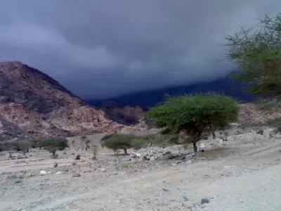 صورة ٥، استراحة ابو هاني