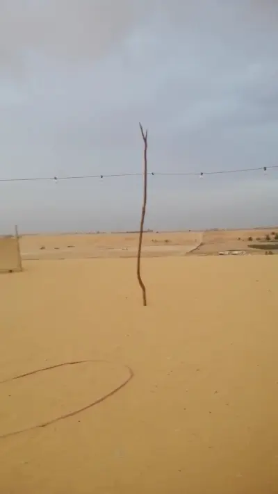 صورة ٣، مخيم البدر