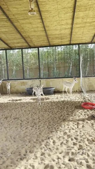 صورة ٣، مزرعة عاذرية نجد