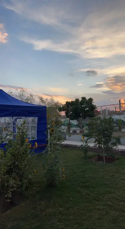 استراحة بن محشي