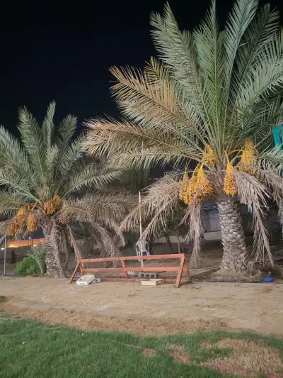 صورة ٢، استراحة عبدالله العرفج