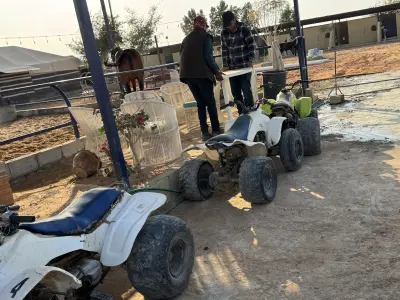 صورة ٣، مربط بن فنيس FQ WAHB