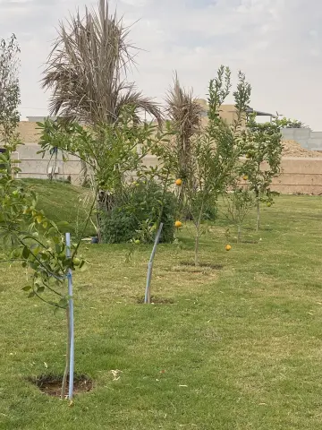 صورة ٦، استراحة العضيبي