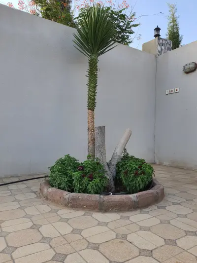 صورة ٢، استراحة ابو ماجد