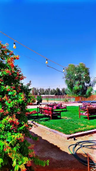 صورة ٢، استراحة ومخيم البساطة