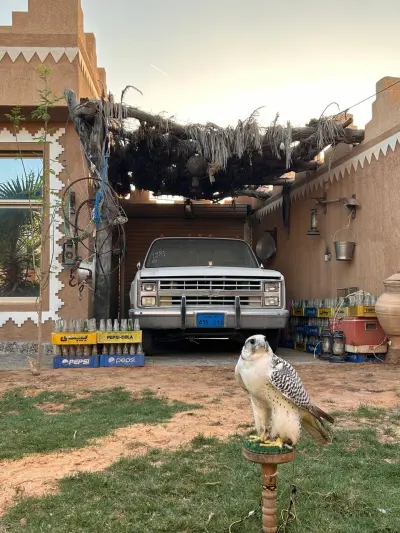 صورة ٢، شاليه الجوهرة ابوفهد الجنيدلي للضيافة وليس للاجار