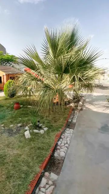 صورة ٣، استراحة الإطلاله