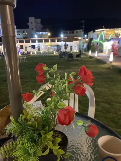 صورة ٢، مزرعة الحصن الريفية