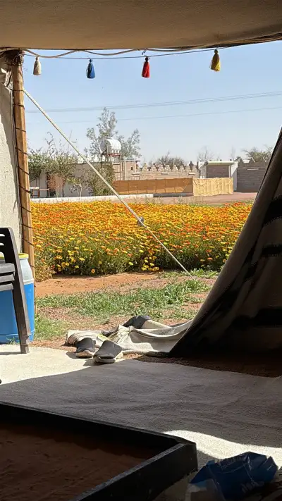 استراحة ومخيم البساطة