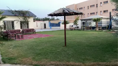 صورة ٥، استراحة النخيل